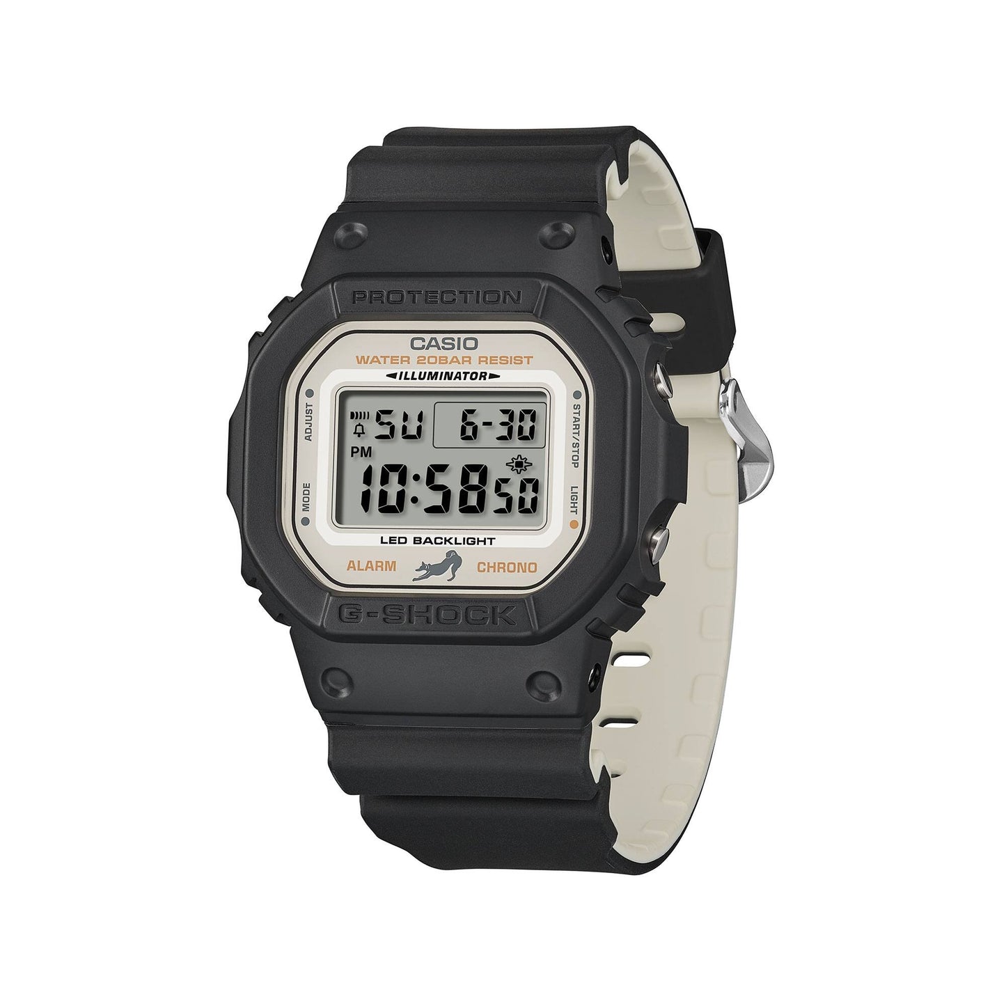 DW-5600SHB-1DR