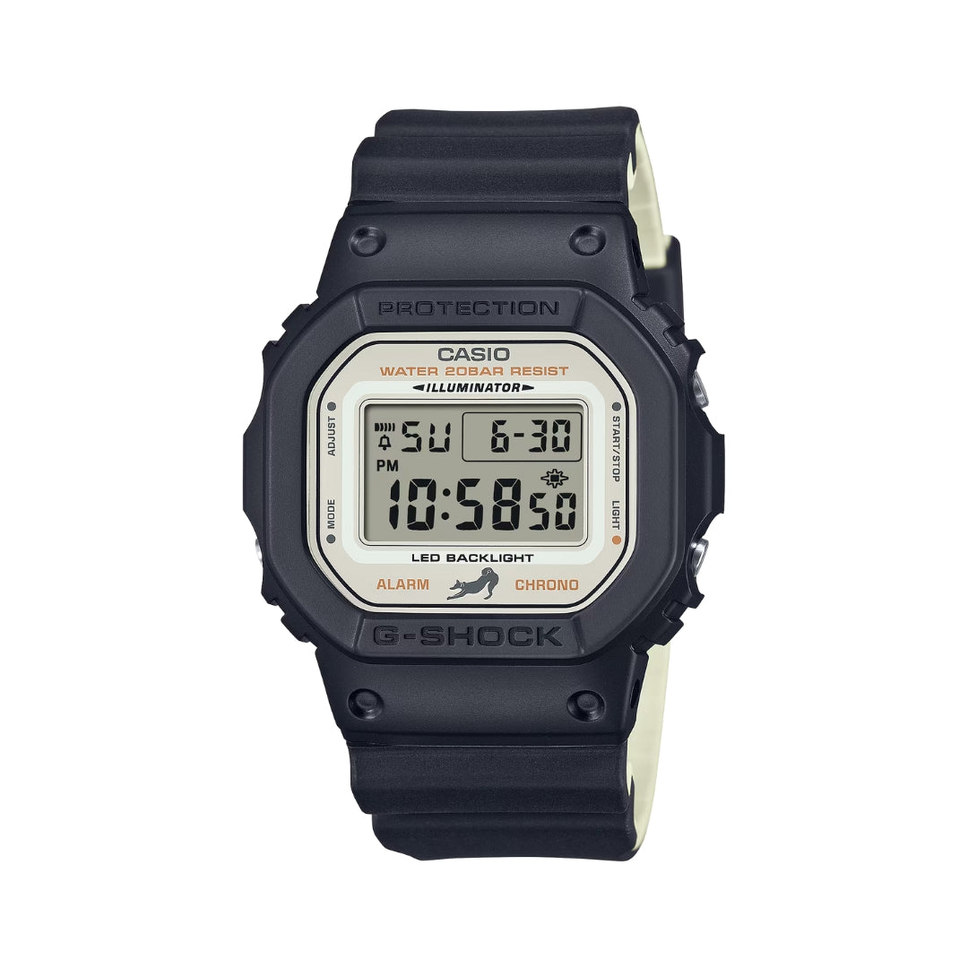 DW-5600SHB-1DR